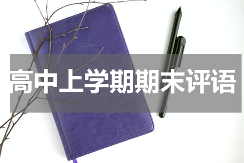 高中上学期期末评语