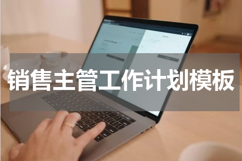 销售主管工作计划模板