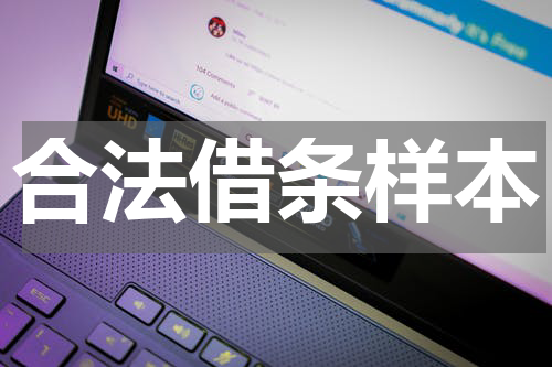 合法借条样本
