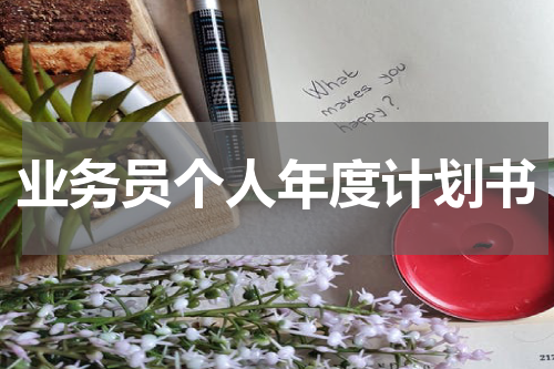 业务员个人年度计划书