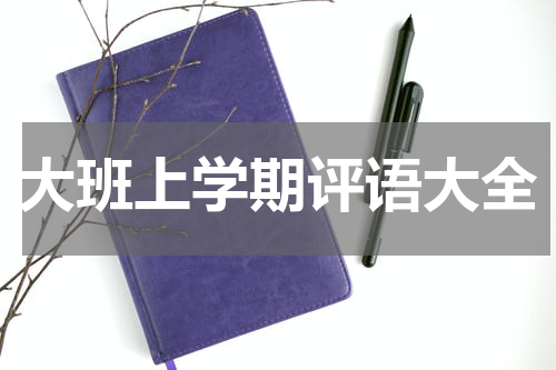 大班上学期评语大全