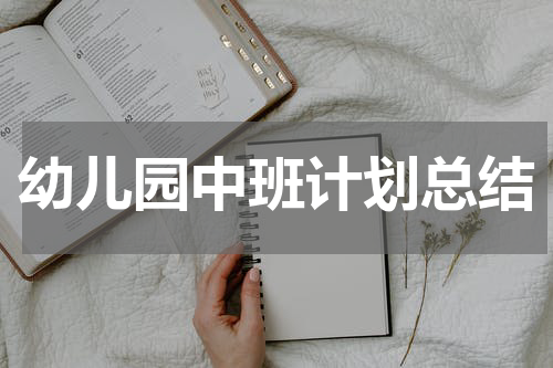 幼儿园中班计划总结
