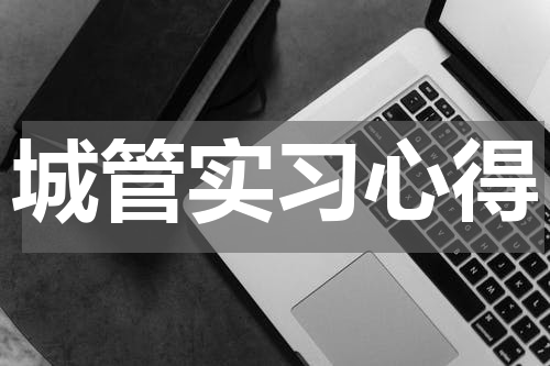 城管实习心得