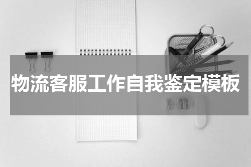 物流客服工作自我鉴定模板