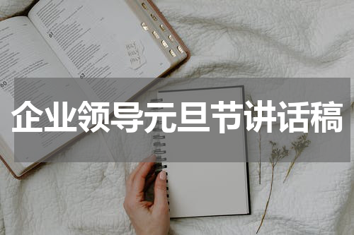 企业领导元旦节讲话稿