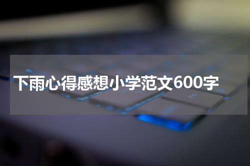 下雨心得感想小学范文600字