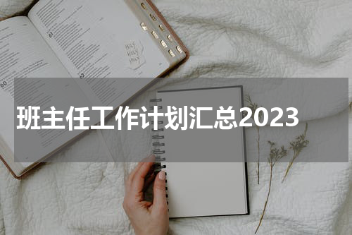 班主任工作计划汇总2023