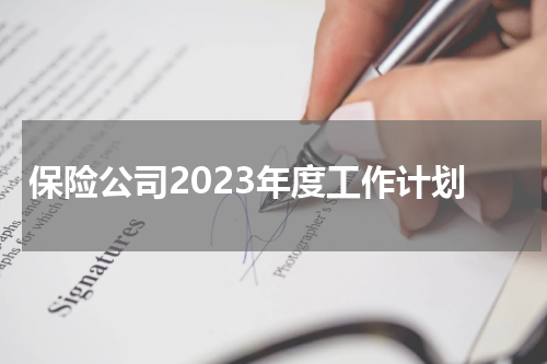保险公司2023年度工作计划