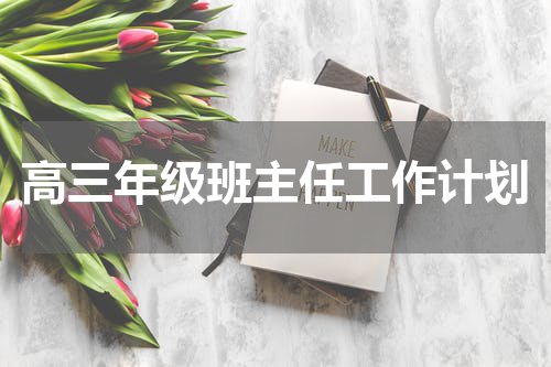 高三年级班主任工作计划