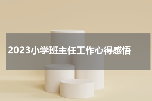 2023小学班主任工作心得感悟