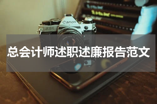 总会计师述职述廉报告范文