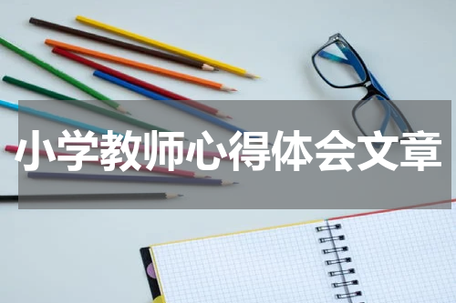 小学教师心得体会文章