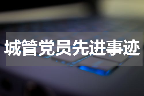 城管党员先进事迹