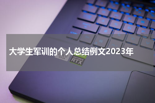 大学生军训的个人总结例文2023年