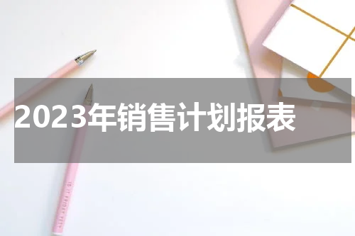 2023年销售计划报表