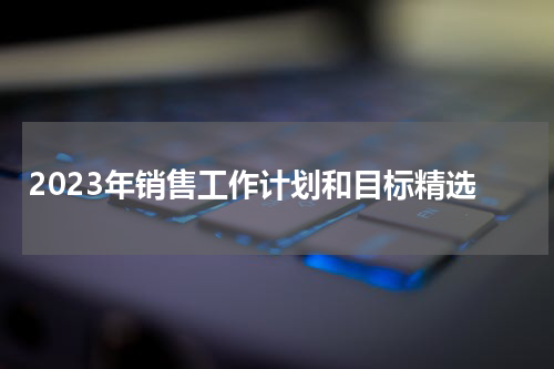 2023年销售工作计划和目标精选