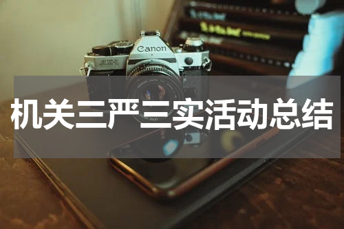 机关三严三实活动总结