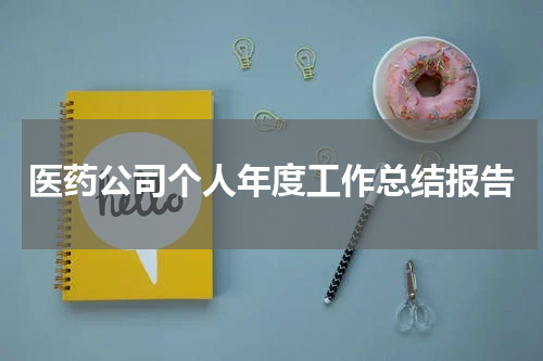 医药公司个人年度工作总结报告