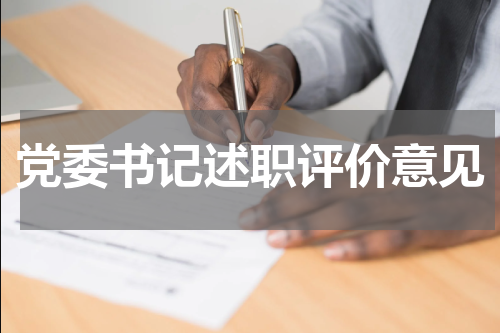 党委书记述职评价意见