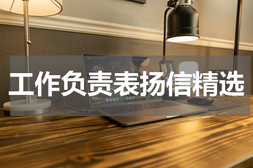 工作负责表扬信精选