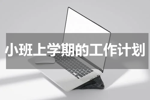 小班上学期的工作计划