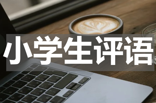 小学生评语