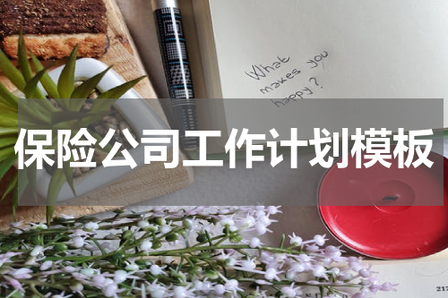 保险公司工作计划模板