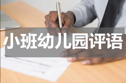 小班幼儿园评语