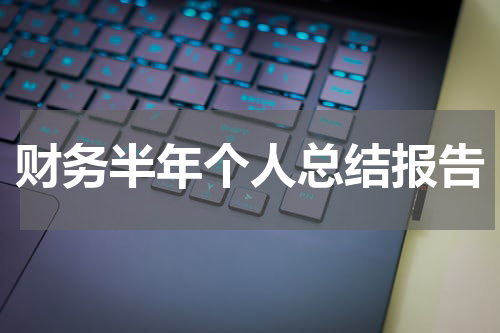 财务半年个人总结报告
