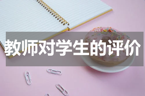 教师对学生的评价
