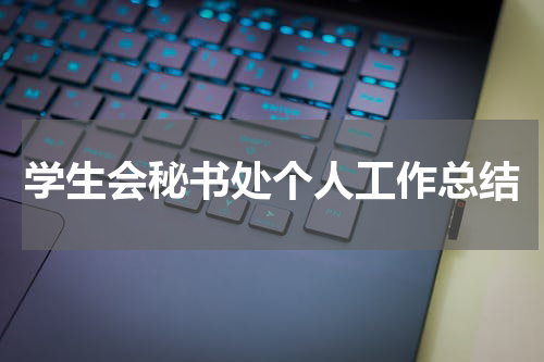 学生会秘书处个人工作总结