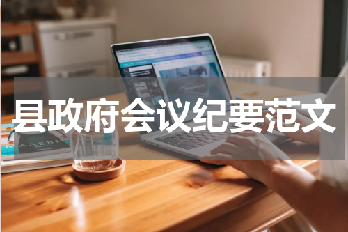 县政府会议纪要范文
