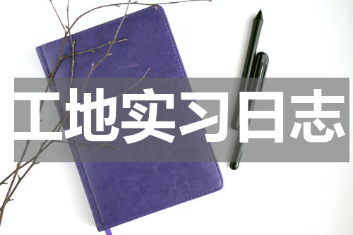 工地实习日志