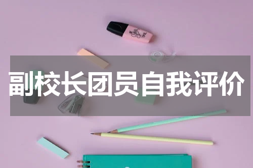 副校长团员自我评价
