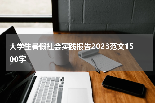 大学生暑假社会实践报告2023范文1500字