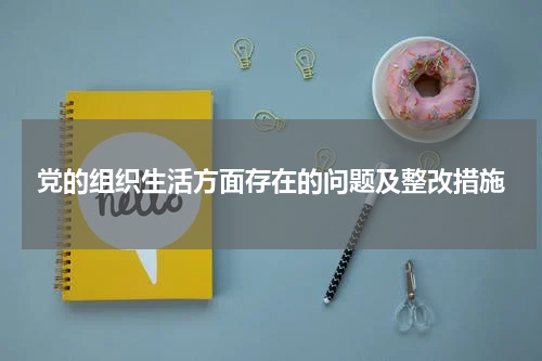 党的组织生活方面存在的问题及整改措施