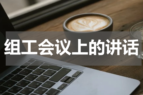 组工会议上的讲话
