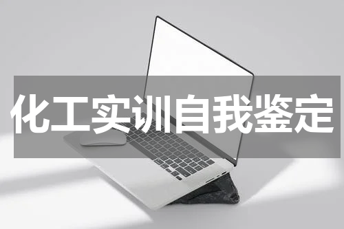 化工实训自我鉴定