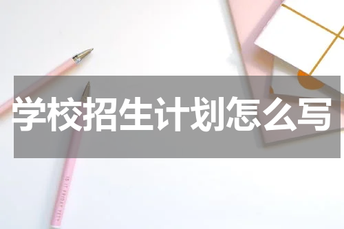 学校招生计划怎么写