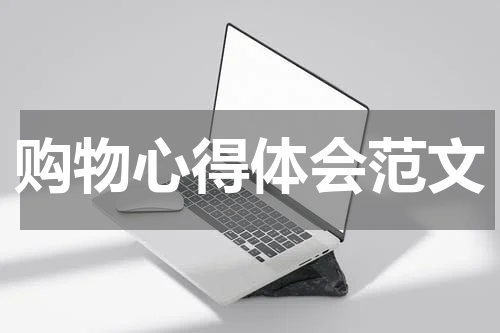 购物心得体会范文
