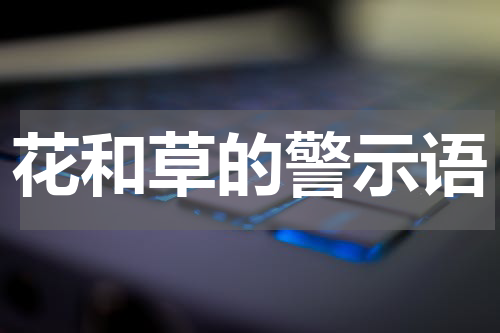 花和草的警示语