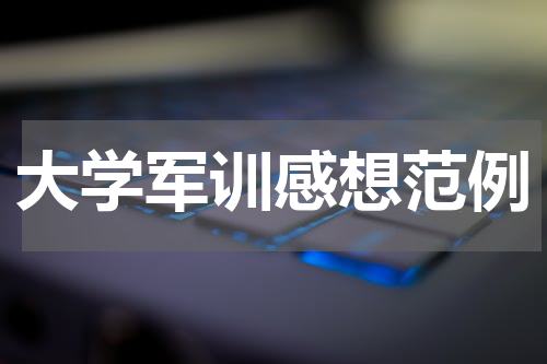 大学军训感想范例