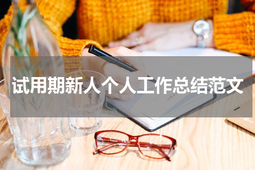 试用期新人个人工作总结范文