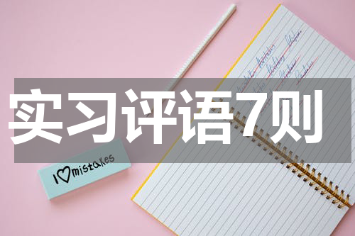 实习评语7则