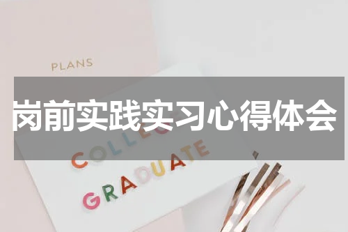 岗前实践实习心得体会
