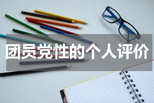 团员党性的个人评价