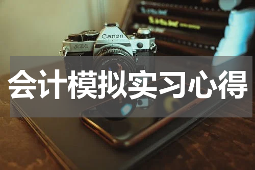 会计模拟实习心得