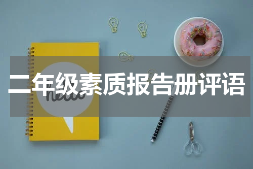 二年级素质报告册评语