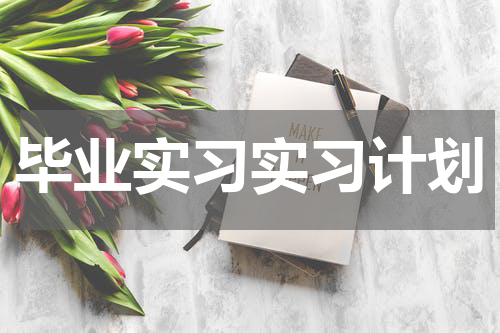 毕业实习实习计划