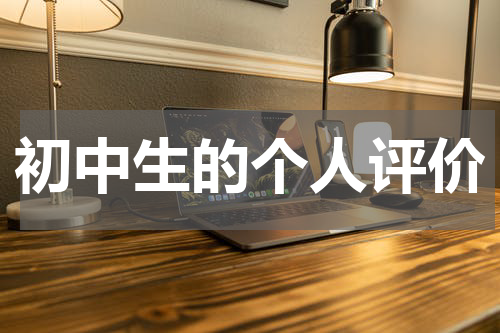 初中生的个人评价